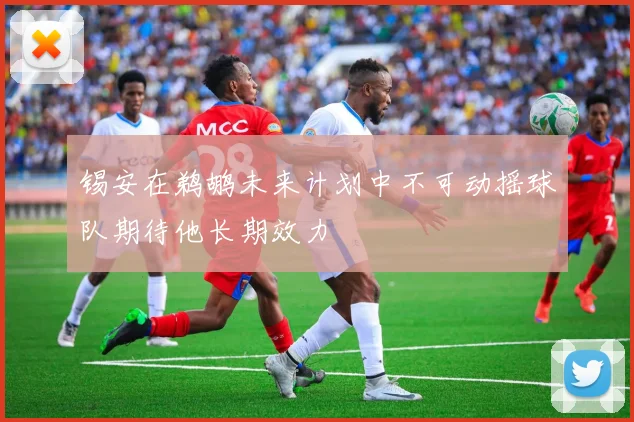 锡安在鹈鹕未来计划中不可动摇球队期待他长期效力