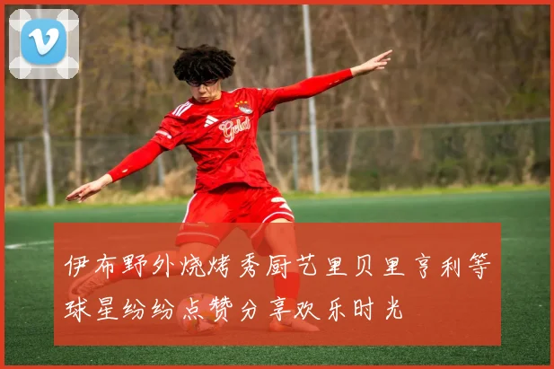 伊布野外烧烤秀厨艺里贝里亨利等球星纷纷点赞分享欢乐时光