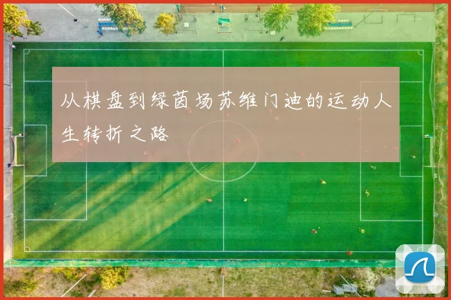 从棋盘到绿茵场苏维门迪的运动人生转折之路